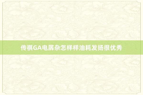 传祺GA电羼杂怎样样油耗发扬很优秀
