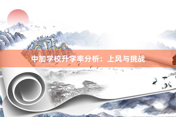 中加学校升学率分析：上风与挑战